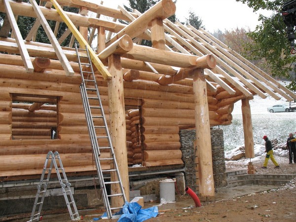 Slokana - Rogla picture
