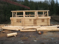 Full Scrbe Log Home
